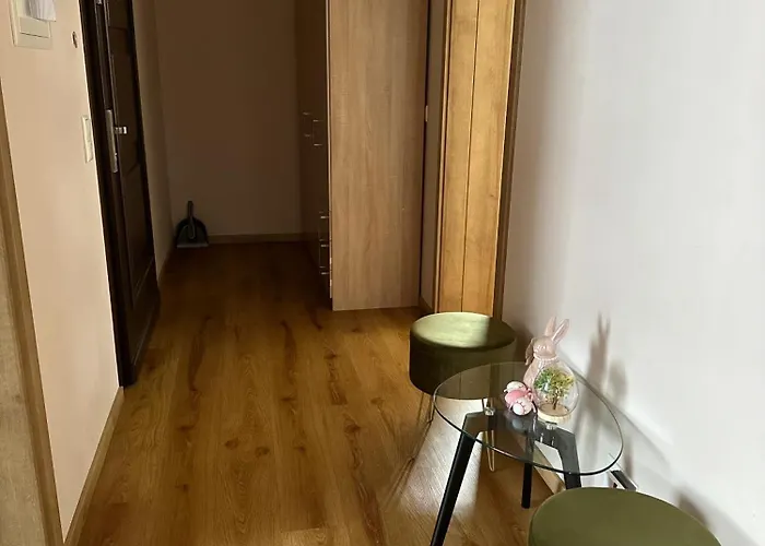 公寓 Schoene 2 Raumwohnung In 博尔纳